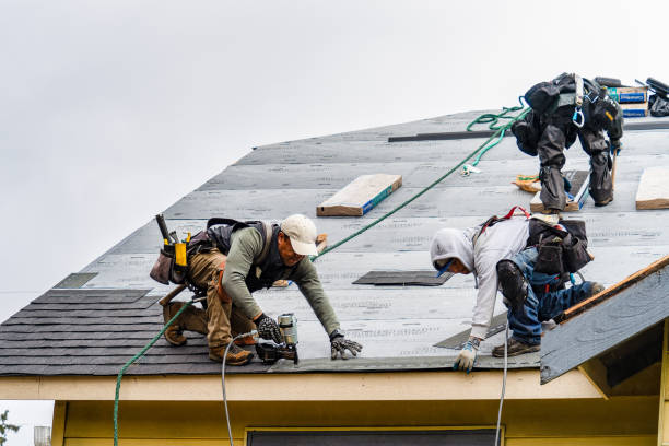Professional Roofing technician working in Trout Run, PA